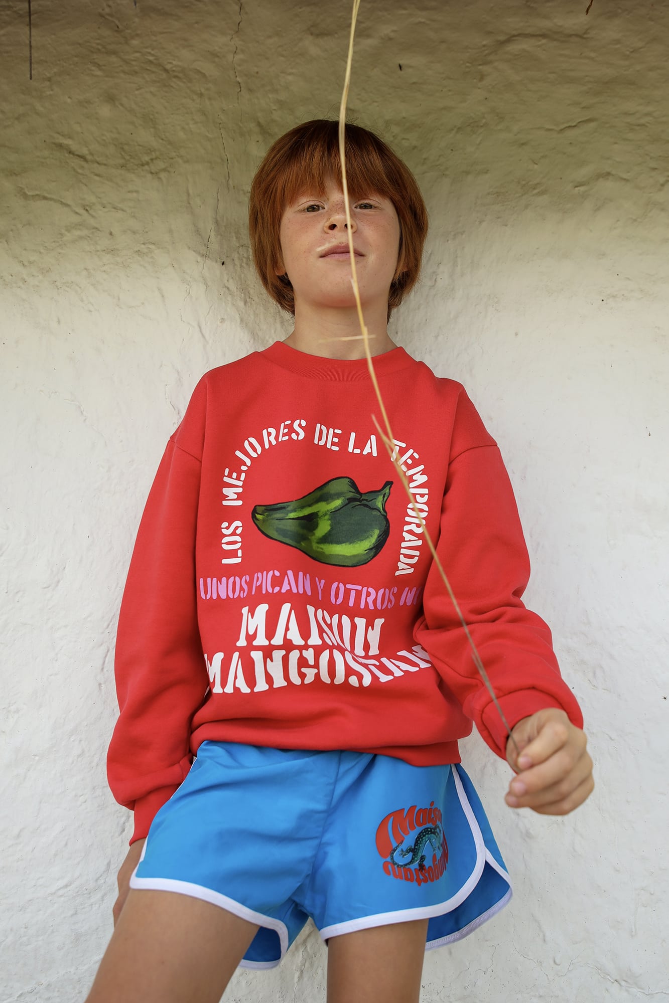 MAISON MANGOSTAN26 copia