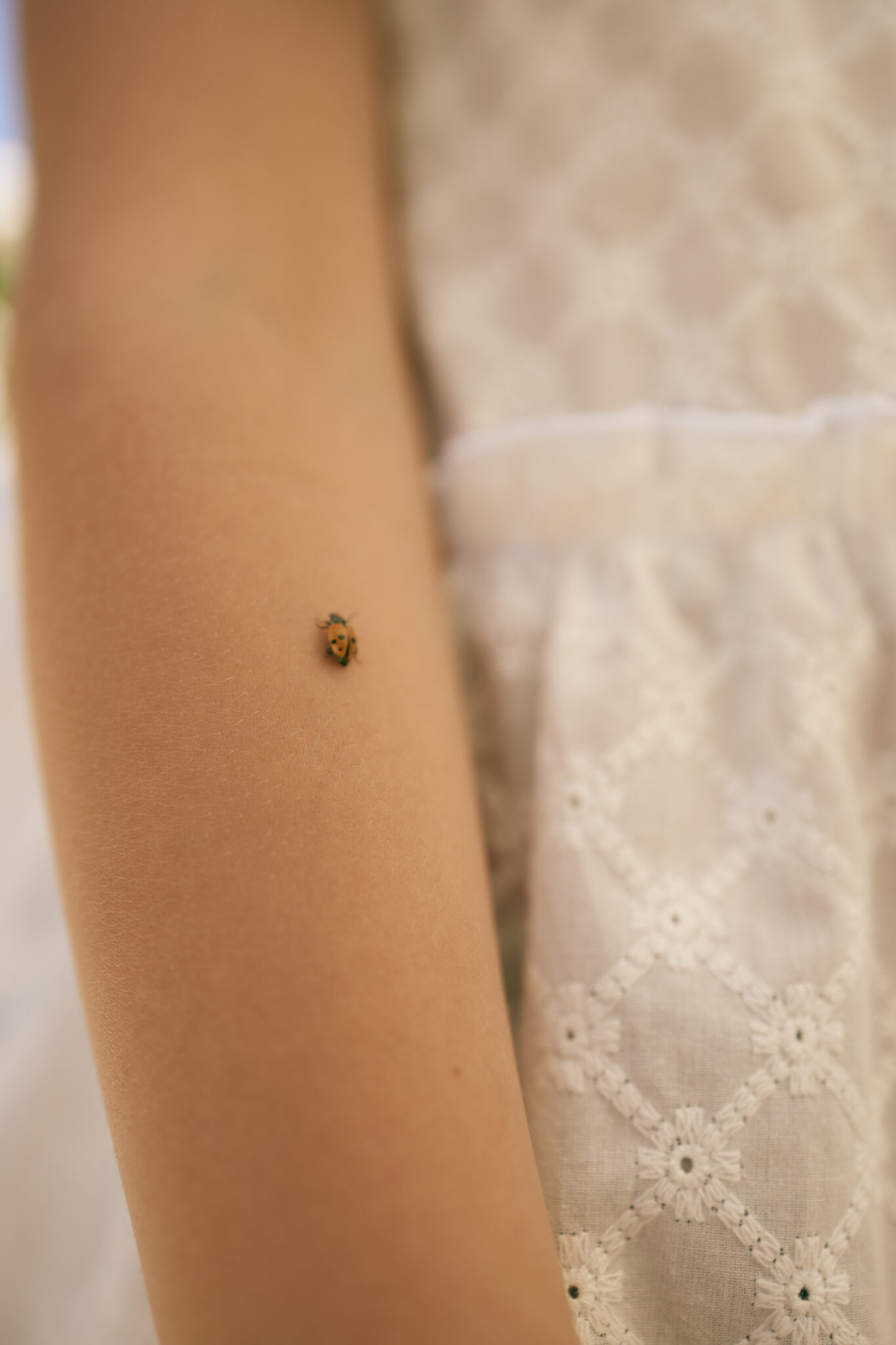 GIROQUADROSS23_0063 4_