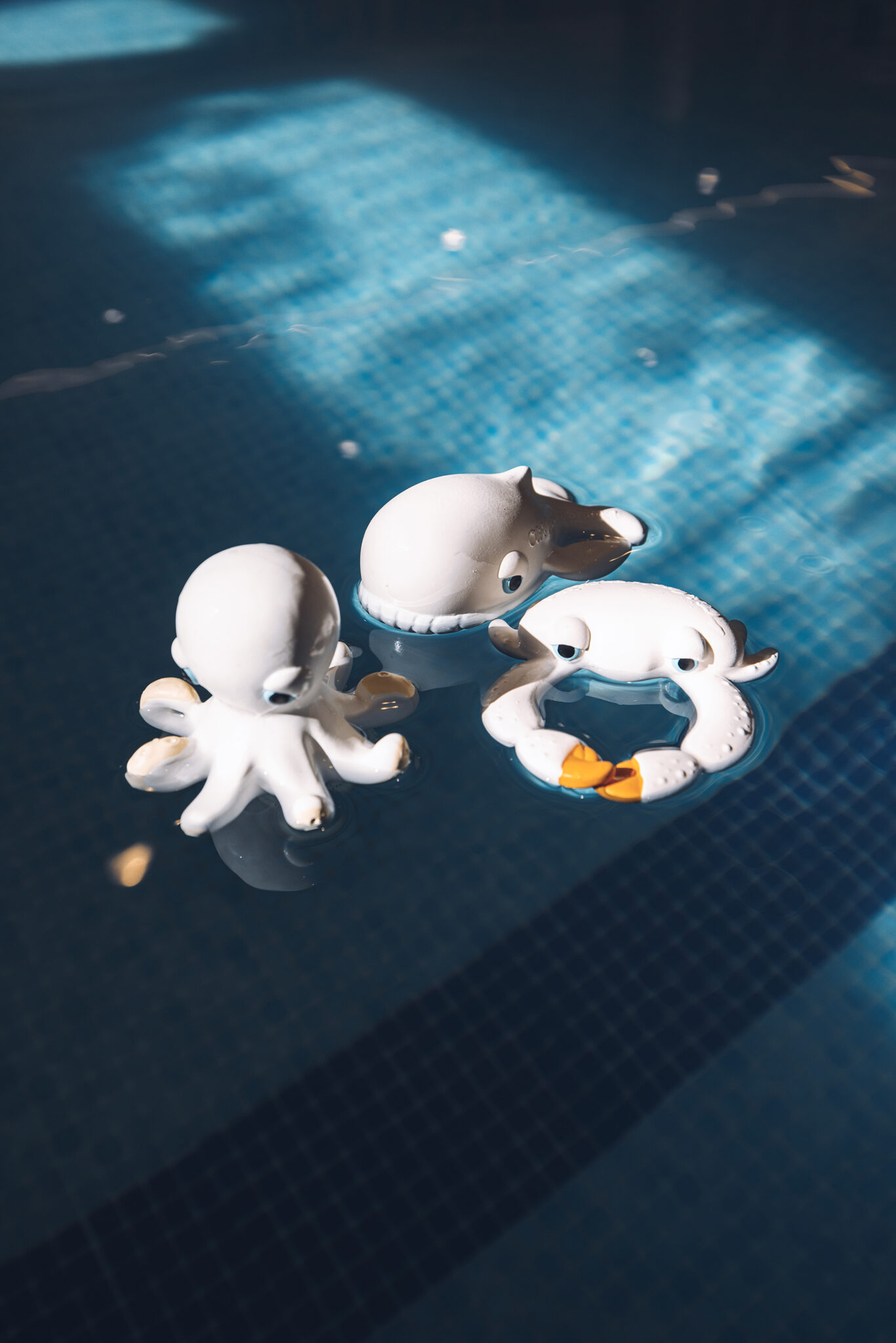 Oli&Carol_x_BigStuffed (7) copia