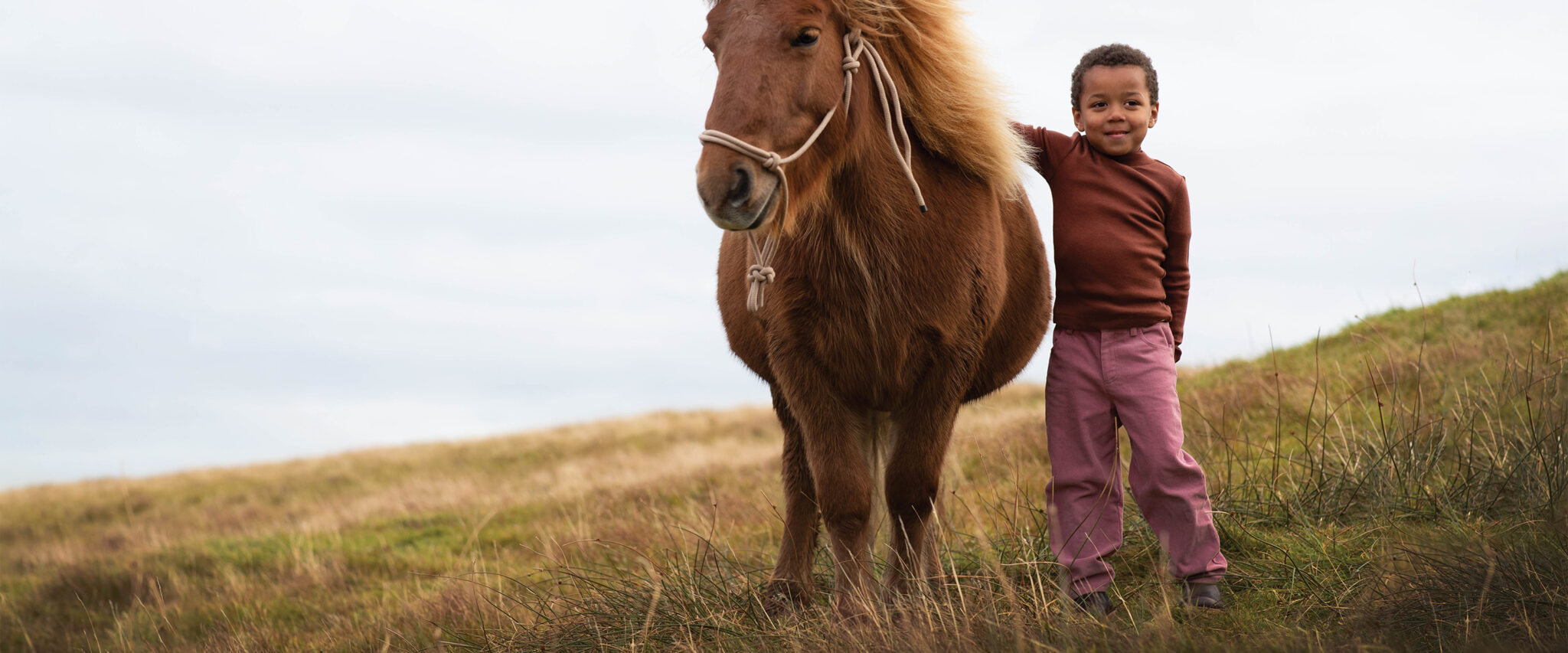 minimalisma_header copia