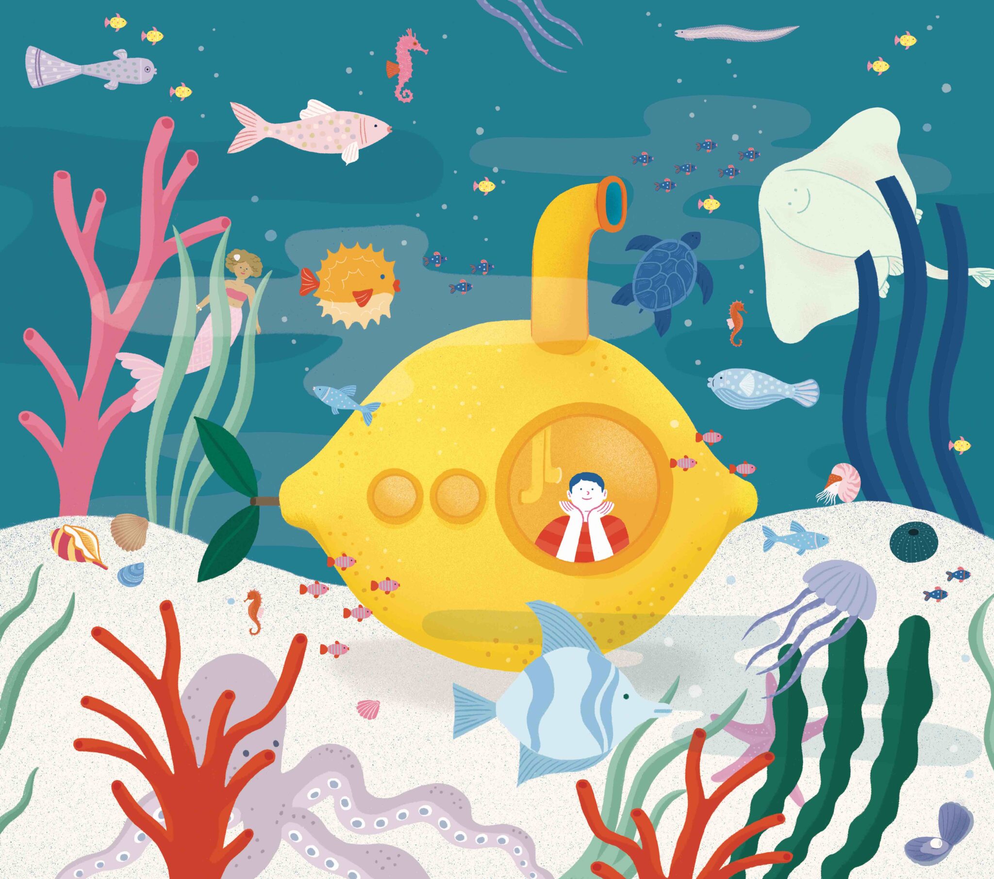 pitti lemon illustration