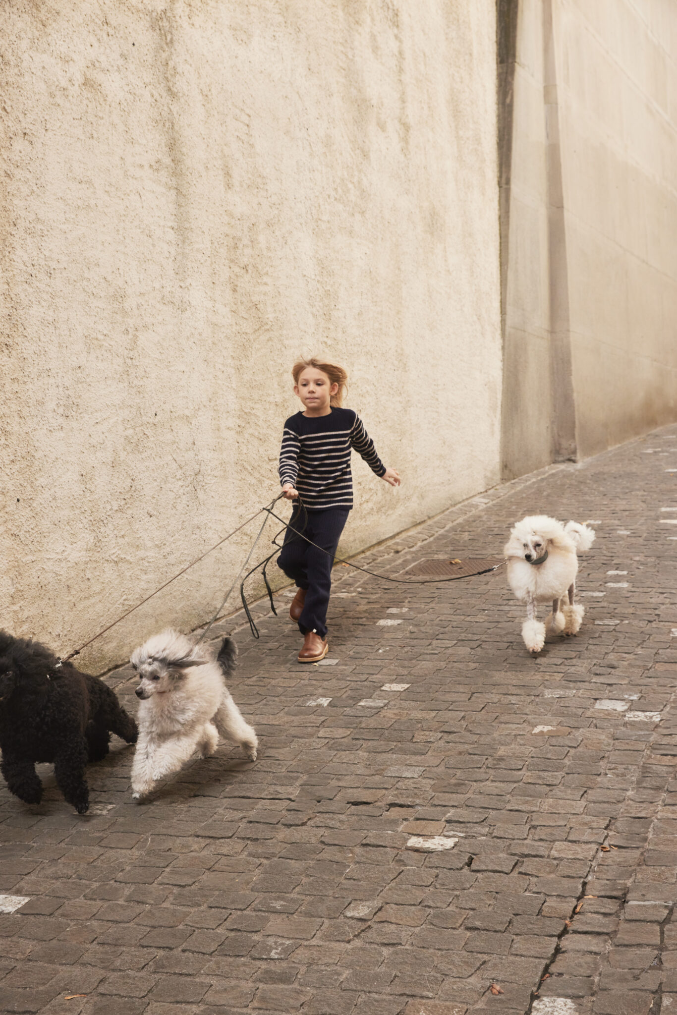 minimalisma AW24 Walking the Poodles