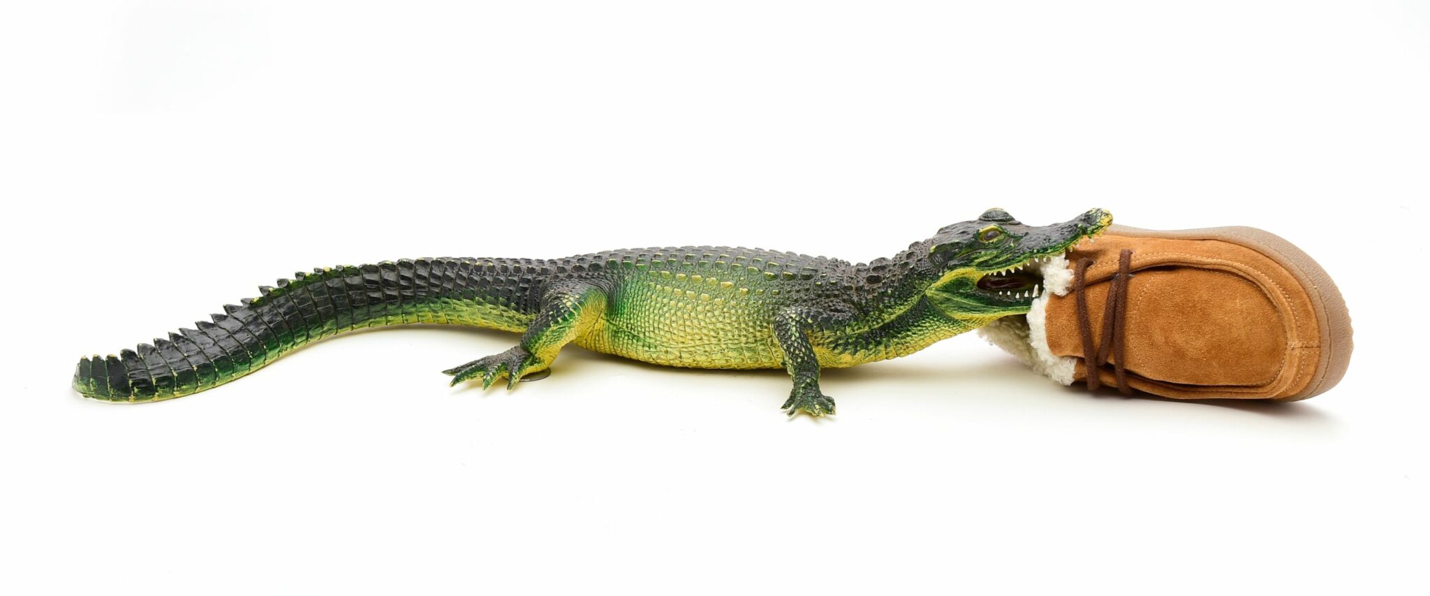 PèPè Children Shoes