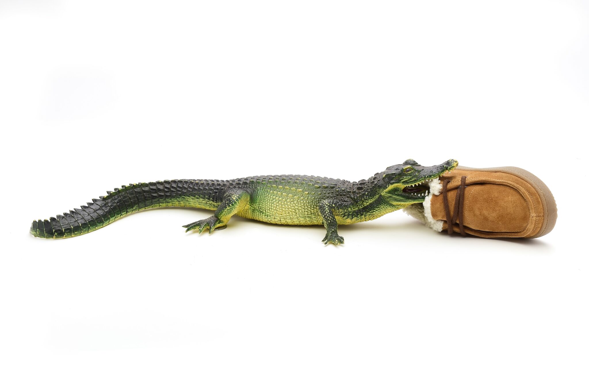 pepe-FW24_ScimparelloMagazine1