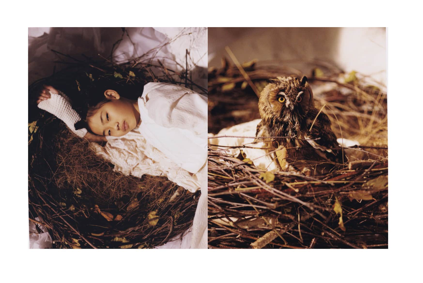 Girl lying in a large nest of twigs and leaves beside a close-up of an owl resting in the same nest; editorial Wild Within for Scimparello Magazine, FW25. Photo by Emma Wright, styling by Holly Moluluo.