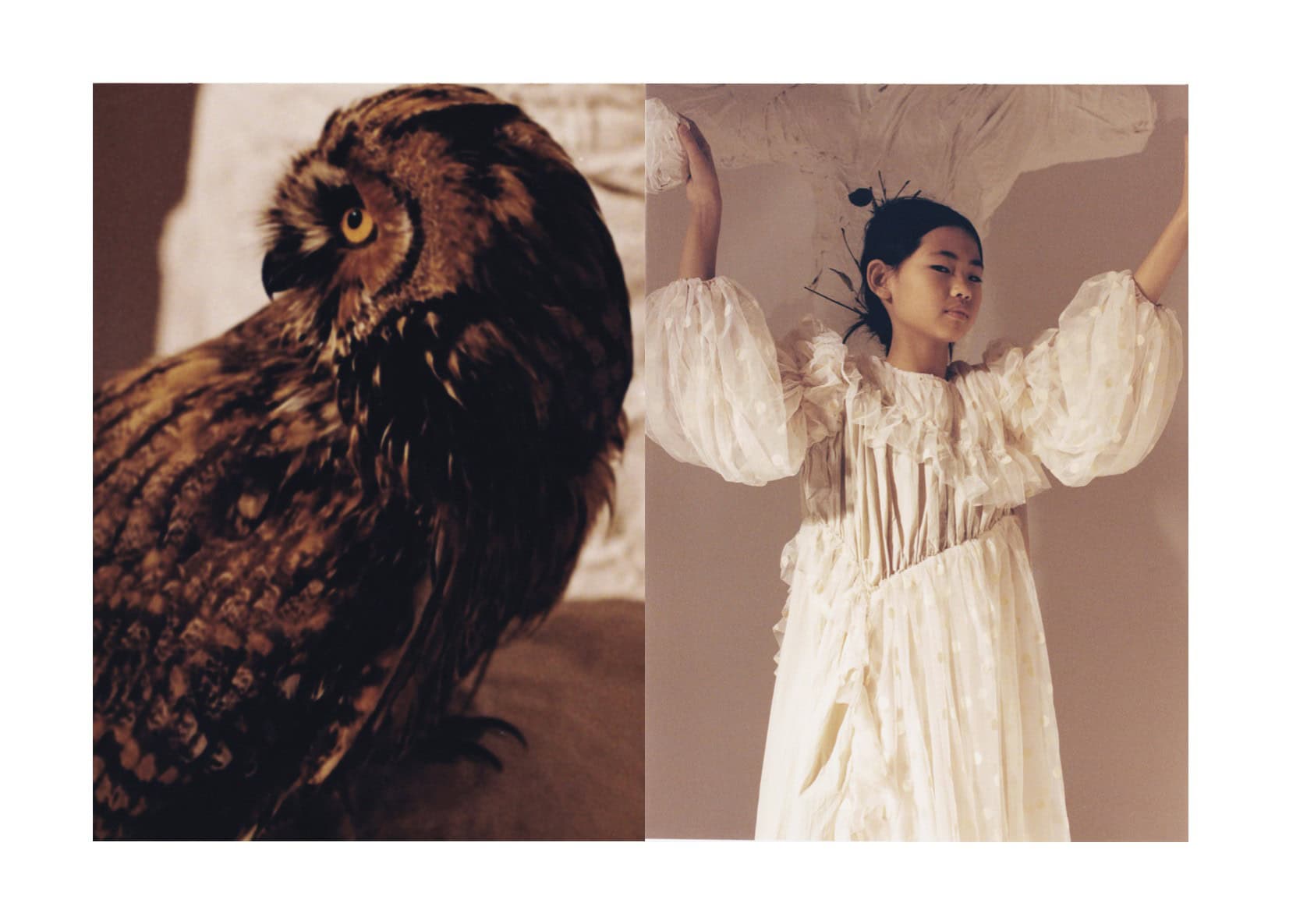 Side profile of an owl with warm amber tones beside a girl in a voluminous cream tulle dress, holding her arms up beneath sculptural paper forms; editorial Wild Within for Scimparello Magazine, FW25. Photo by Emma Wright, styling by Holly Moluluo.