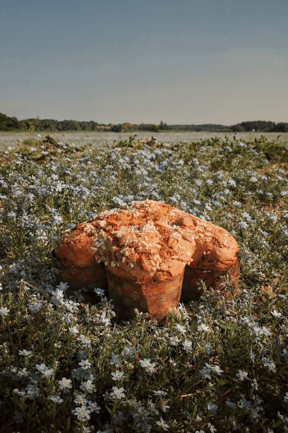 Gucci Osteria colomba Easter cake with crumble topping placed in a blooming spring meadow surrounded by small flowers