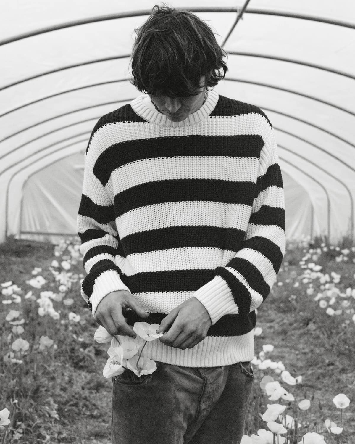 Man in striped knit sweater gently picking flowers inside a greenhouse, The New Society menswear SS26 campaign