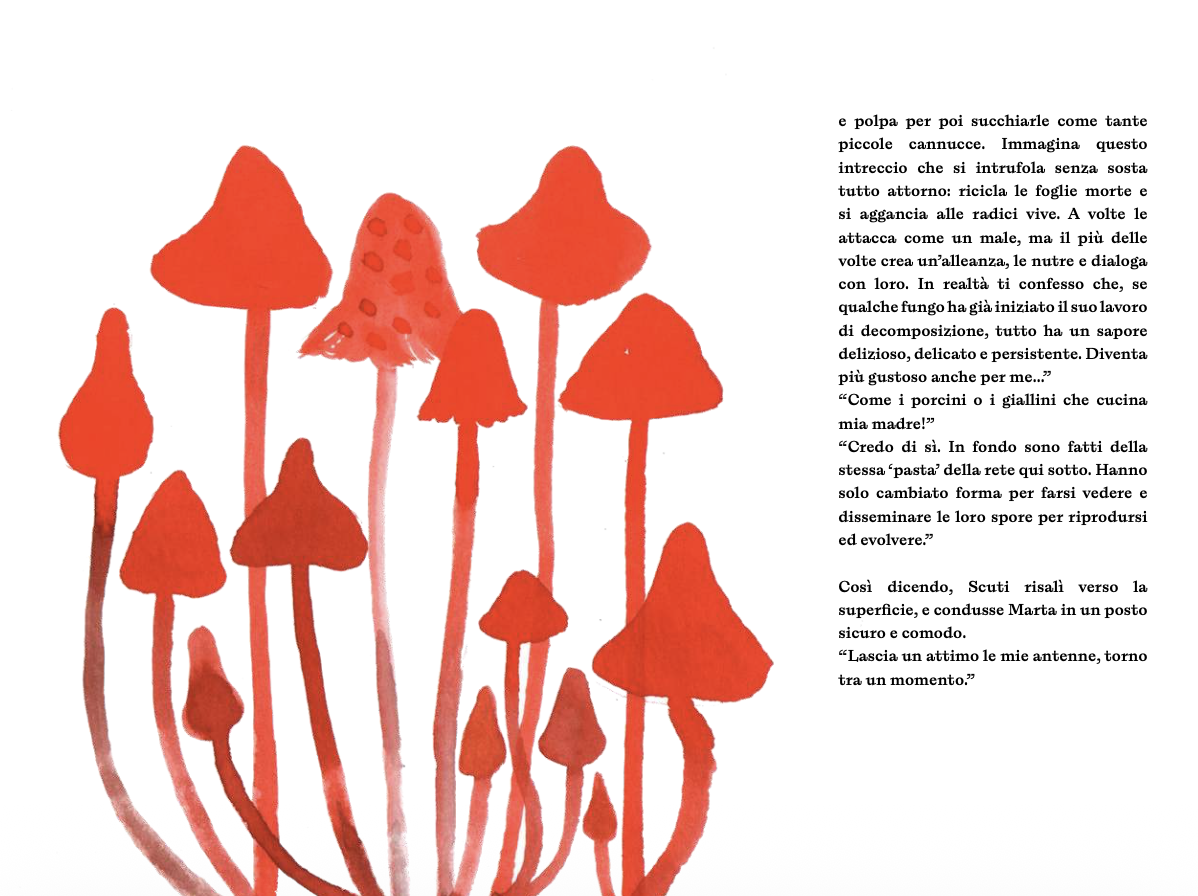 Interior page from the children’s book Giù Giù, featuring vivid red and pink watercolor mushrooms rising across the page beside Italian text. The organic illustrations evoke an enchanted underground forest, reflecting the book’s exploration of fungi, decomposition, and the hidden biodiversity of the soil. The dreamy, minimalist visual style is characteristic of Fausto Gilberti.